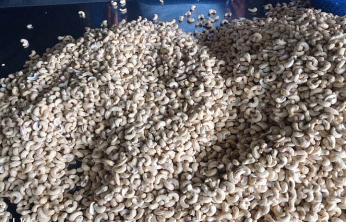 Cashew nut WW180 /20 KG